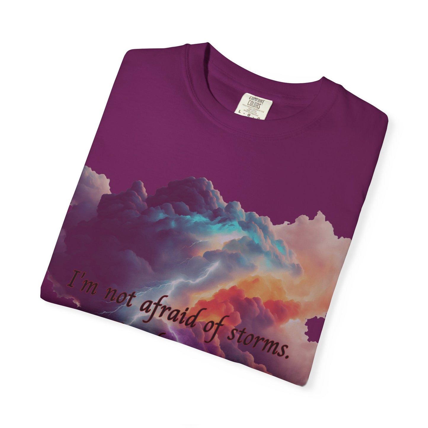 Fourth Wing Unisex T-shirt with Quote Design