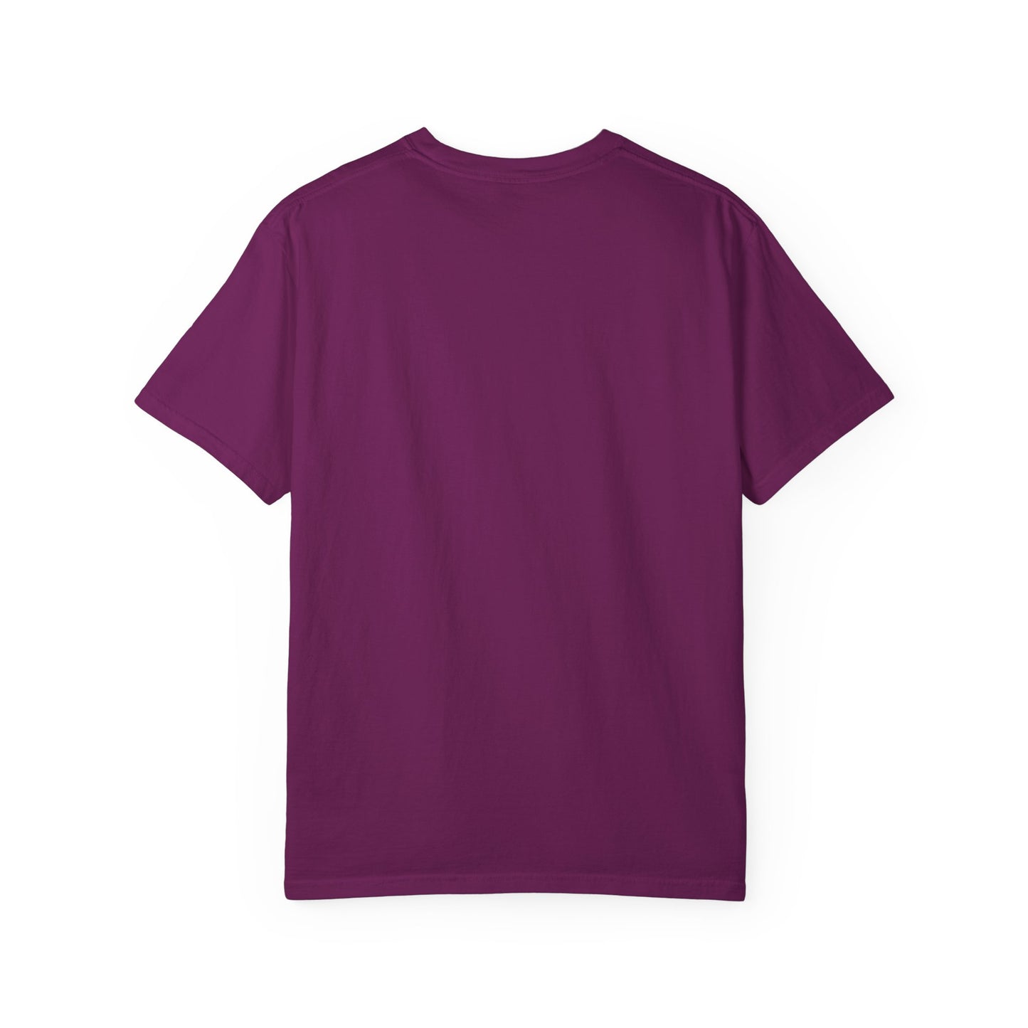 Fourth Wing Unisex T-shirt with Quote Design