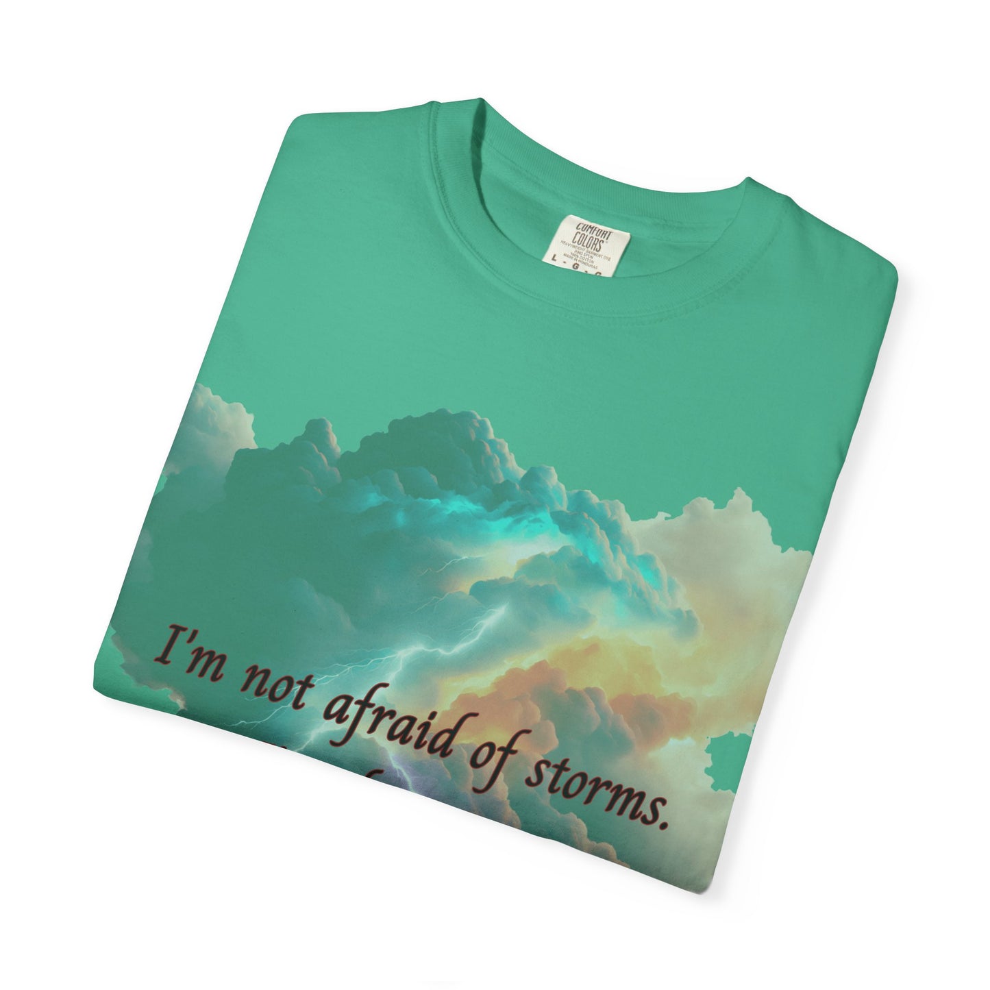 Fourth Wing Unisex T-shirt with Quote Design