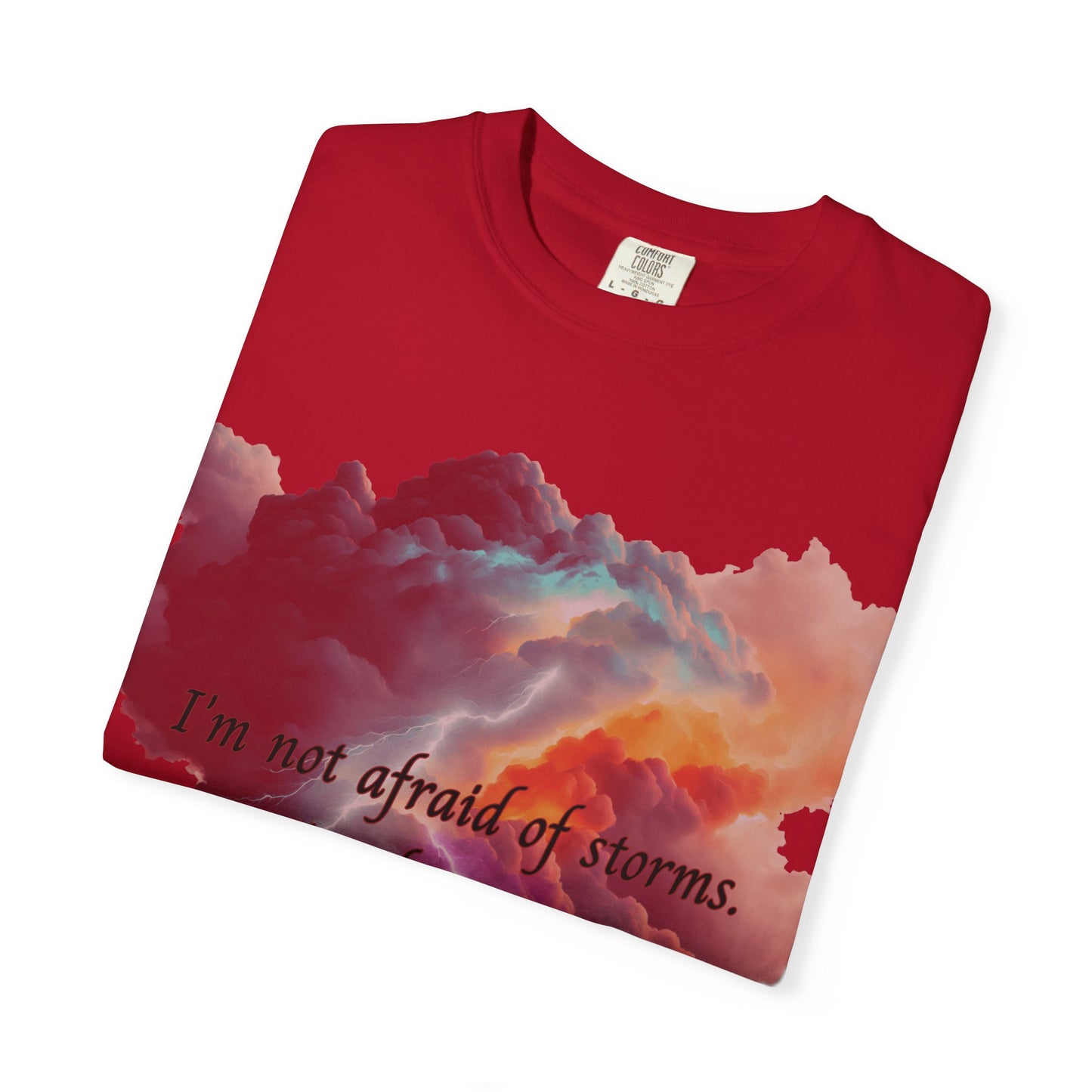 Fourth Wing Unisex T-shirt with Quote Design