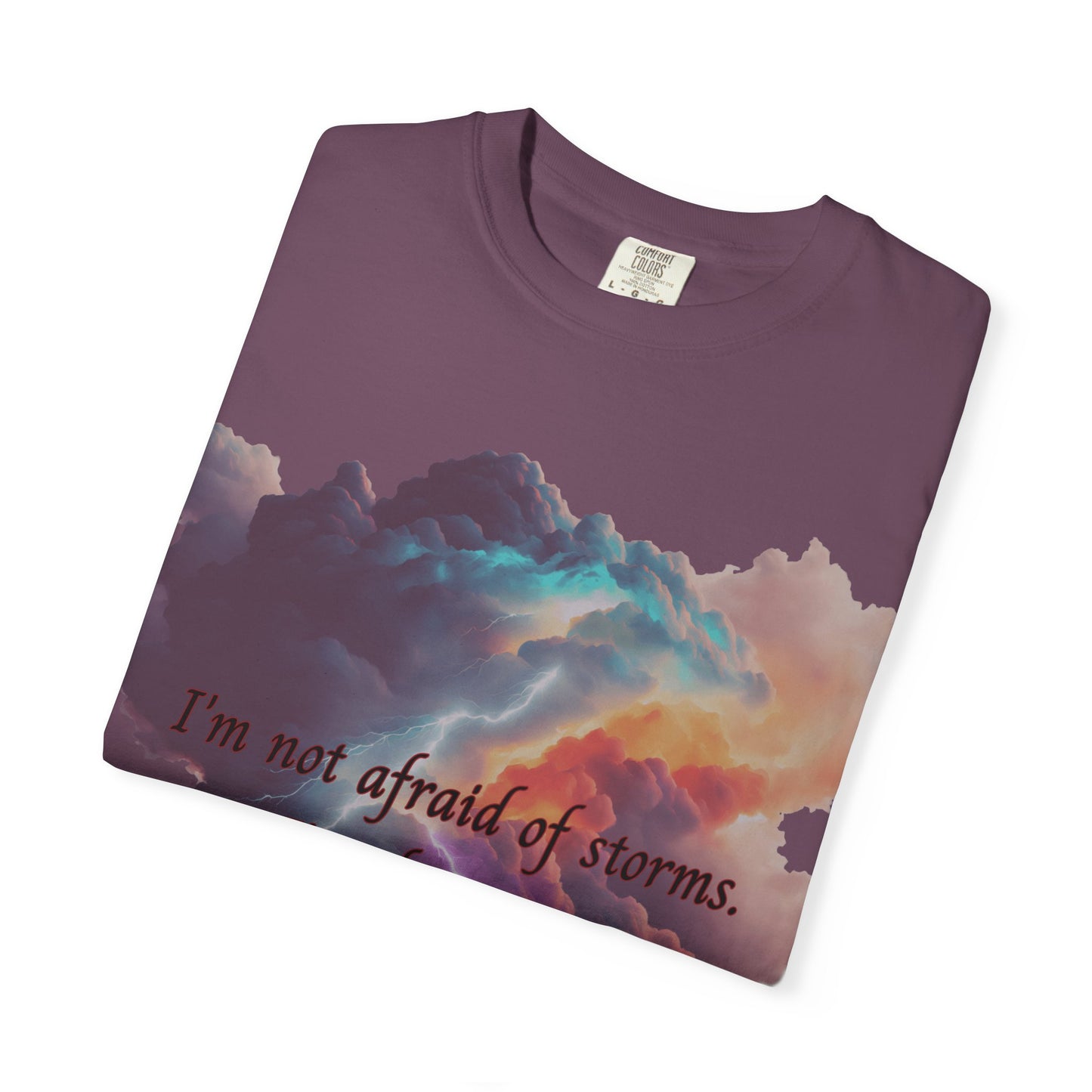 Fourth Wing Unisex T-shirt with Quote Design